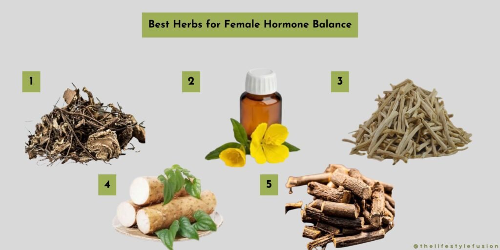 best herbs for female hormone balance